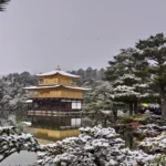 golden pavilion temple9