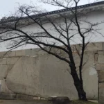 osaka castle12