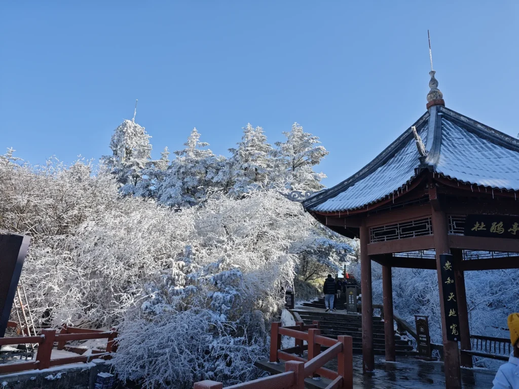 峨眉山兩天一夜|直上雷洞坪、索道登金頂,夜宿山頂終於等到日出雲海 6 MountEmei20