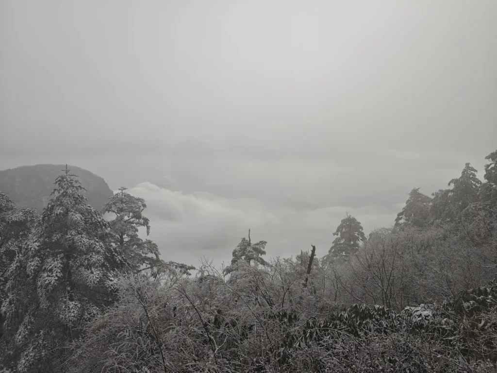 峨眉山兩天一夜|直上雷洞坪、索道登金頂,夜宿山頂終於等到日出雲海 3 MountEmei23