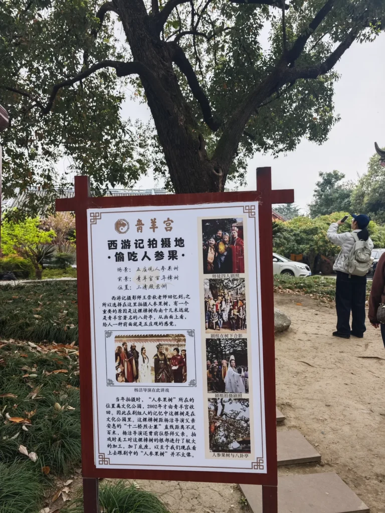 青羊宮 12 Qingyang16